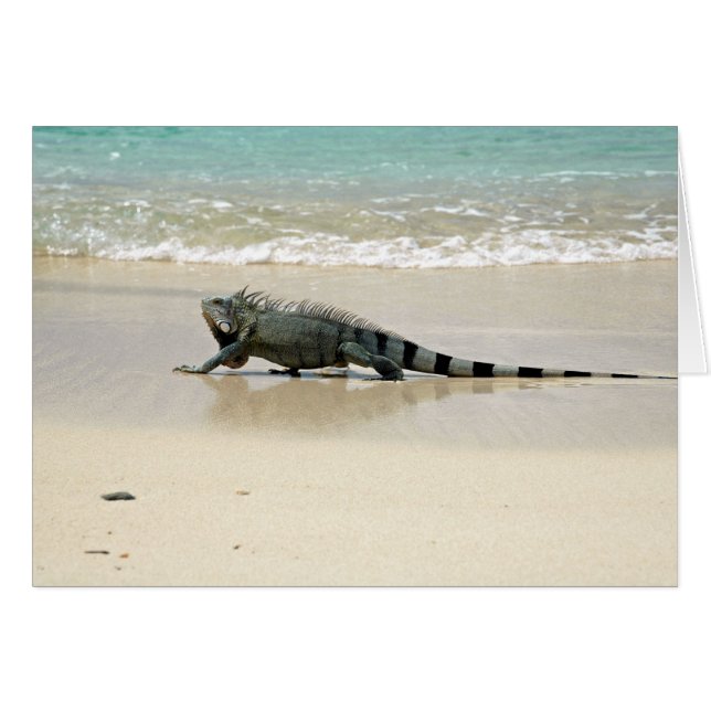 Cartão Longa caminhada na praia (Frente Horizontal)