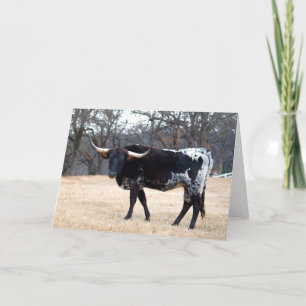 Cartão Longhorn bonito
