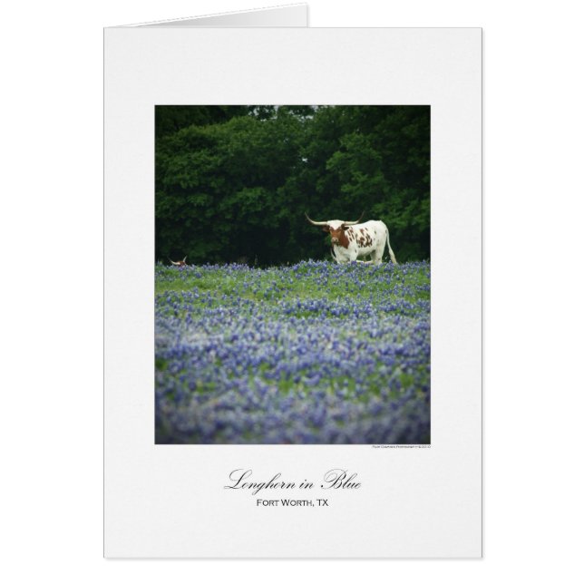 Cartão Longhorn em azul (Frente)