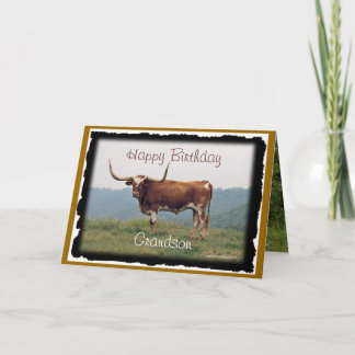 Cartão Longhorn em monte-personalizar-alguma ocasião