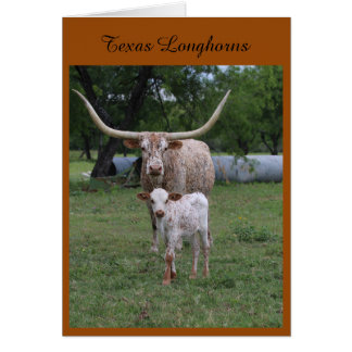 Cartão Longhorns de Texas