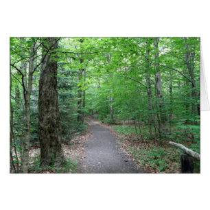 Cartão Lonsie Lake Trail em New Hampshire
