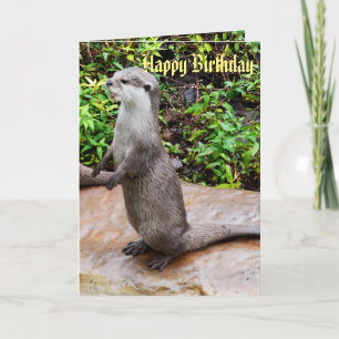 Cartão Lontra Cinzenta em Pé Feliz Aniversário