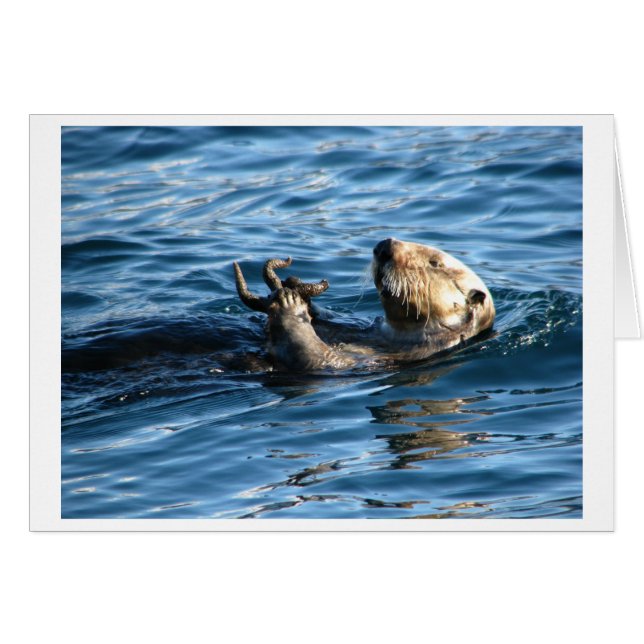 Cartão Lontra de mar (Frente Horizontal)