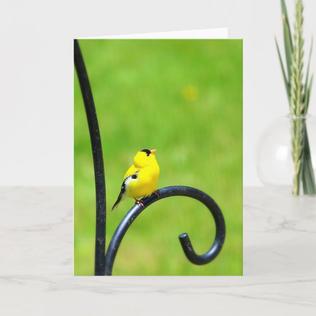 Cartão Looking Up Greeting Card (Frente)