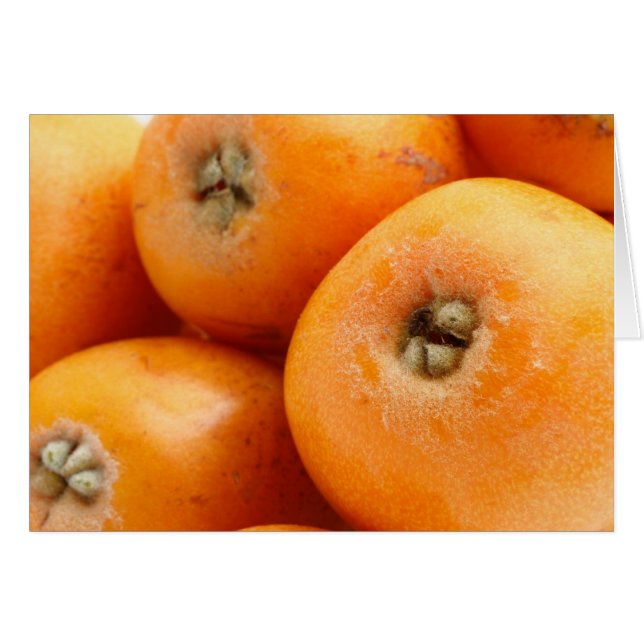 Cartão Loquats (Frente Horizontal)