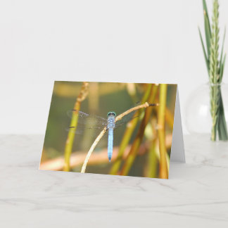 Cartão Lord Of The Swamp