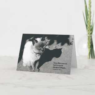 Cartão Loss of Cat Sympathy Card