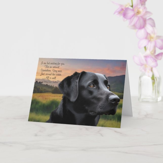 Cartão Loss of Pet Dog (Black Lab) Custom Sympathy Card (Orquídea)