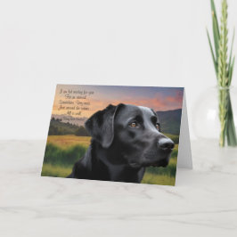 Cartão Loss of Pet Dog (Black Lab) Custom Sympathy Card