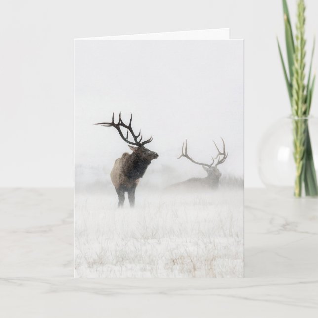 Cartão "Lost in the Storm" Holiday Card (Frente)