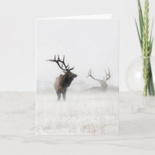 Cartão "Lost in the Storm" Holiday Card