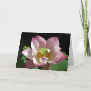 Cartão Lotus