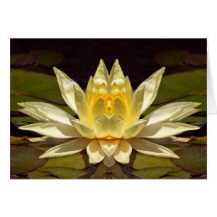 Cartão Lotus1 aumentado
