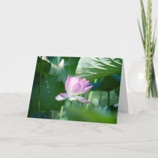 Cartão Lotus #2463