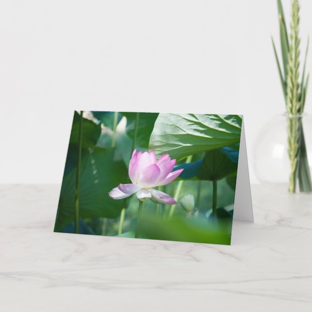 Cartão Lotus #2463 (Frente)