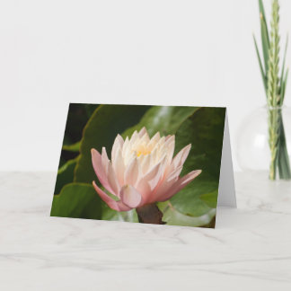 Cartão Lotus #2560