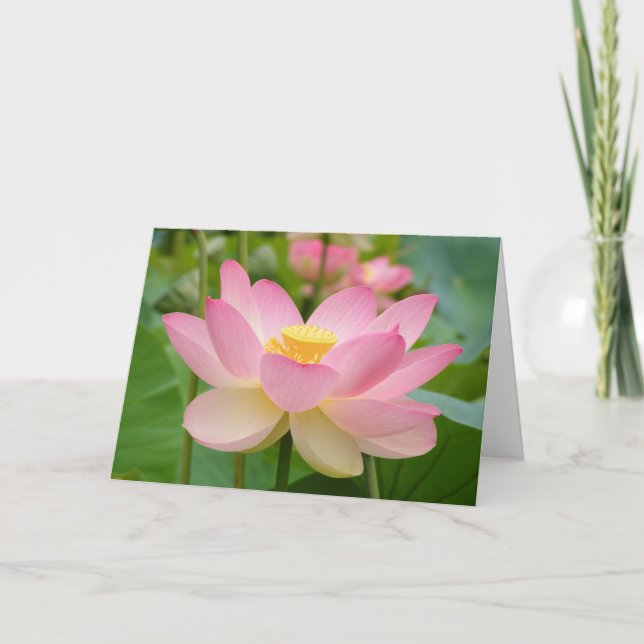 Cartão Lotus Blossum Greeting Card (Frente)