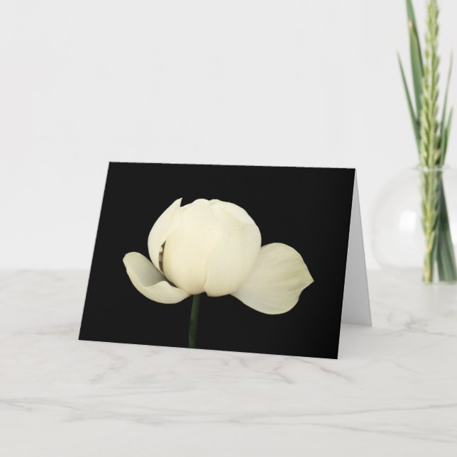 Cartão Lotus Bud (Frente)