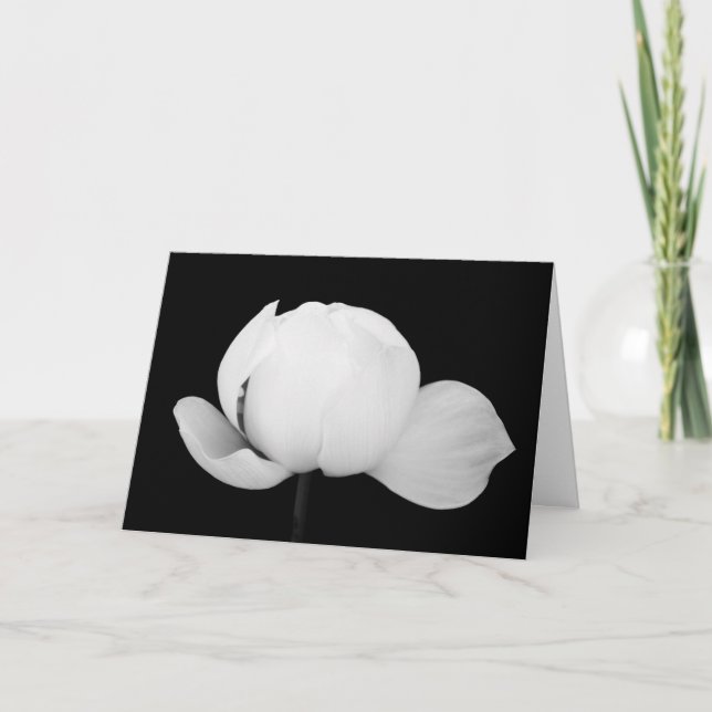 Cartão Lotus Bud (Frente)