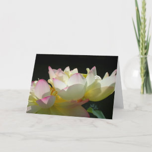 Cartão Lotus Dançado