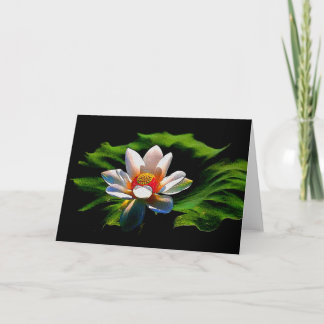 Cartão Lotus Flower design all occasions greeting card