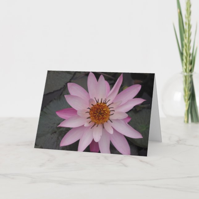 Cartão Lotus Flower Note Card (Frente)