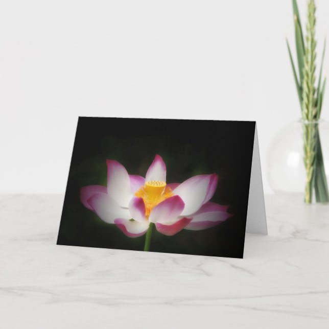 Cartão Lotus Flower Photography Great Yoga Om Gift! L (Frente)