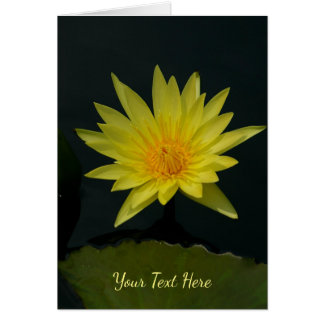 Cartão Lotus Waterlily Amarela