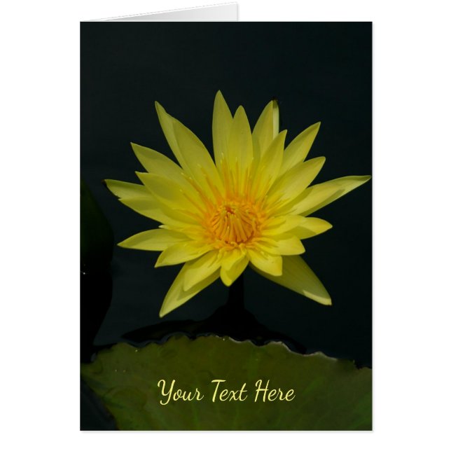 Cartão Lotus Waterlily Amarela (Frente)