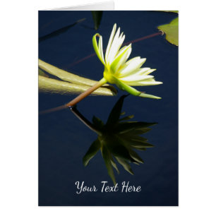 Cartão Lotus Waterlily Branca