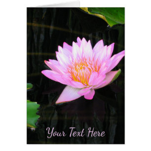 Cartão Lotus Waterlily Rosa