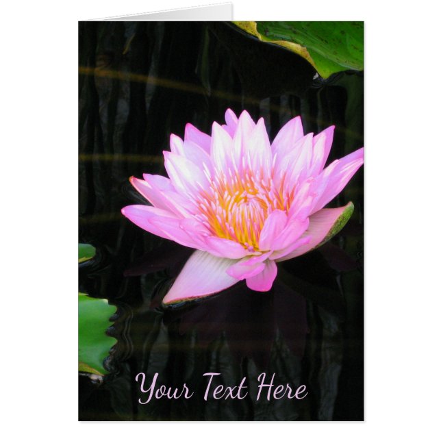 Cartão Lotus Waterlily Rosa (Frente)