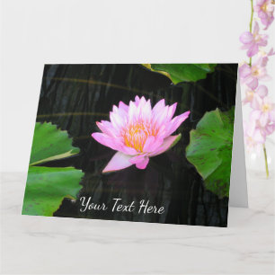 Cartão Lotus Waterlily Rosa