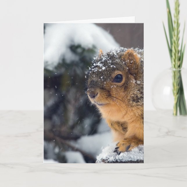 Cartão Loucos Congelados ficam bem em breve (Frente)