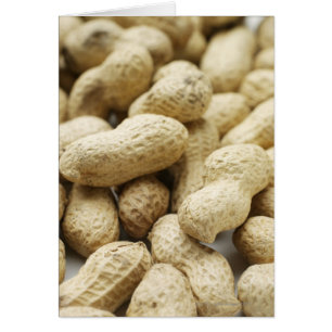 Cartão Loucos de macacos.