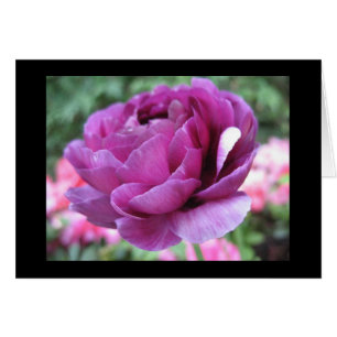 Cartão Loucura marrom