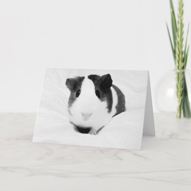 Cartão louise (Frente)