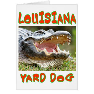 CARTÃO LOUSIANA YARD DOG