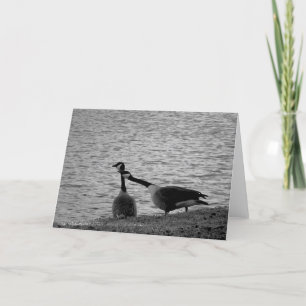 Cartão Love Birds B&W