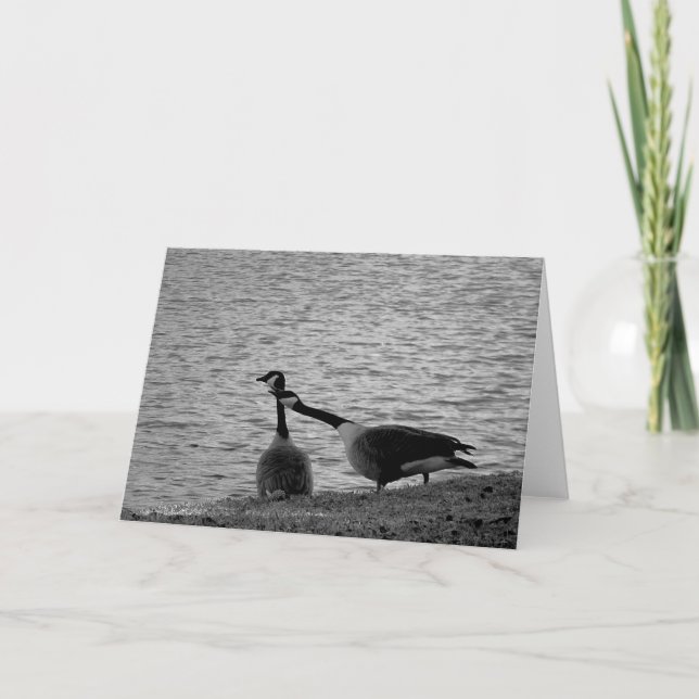 Cartão Love Birds B&W (Frente)