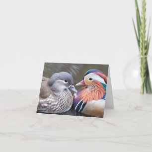 Cartão 'Love Ducks' Notecard