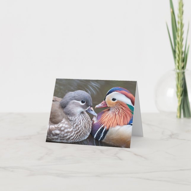 Cartão 'Love Ducks' Notecard (Frente)