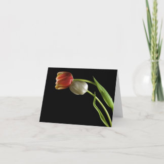Cartão Love in Spring Note Card