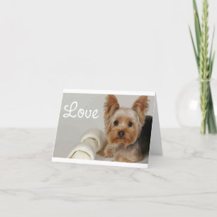 Cartão Love Yorkshire Terrier Puppy Dog Blank Card
