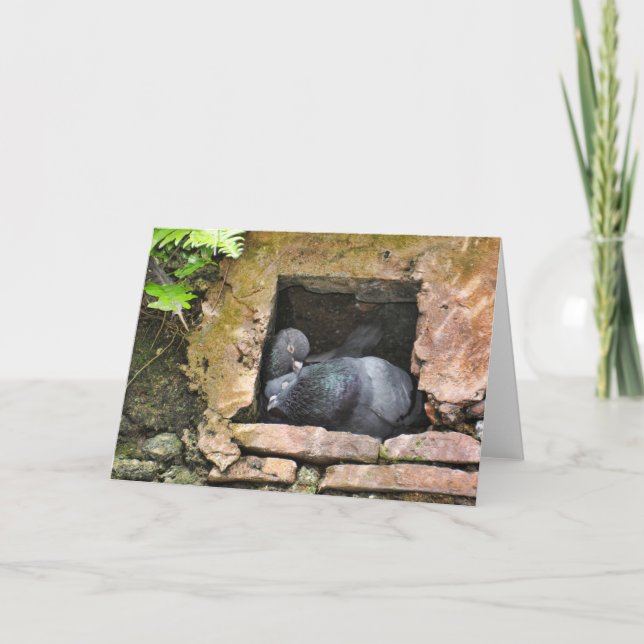 Cartão Lovebirds Forever Blank-Inside Greeting Card (Frente)