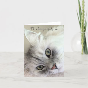 Cartão Lovely Thinking of You (Blank Note Card)