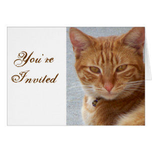 Cartão Lover de Cat_