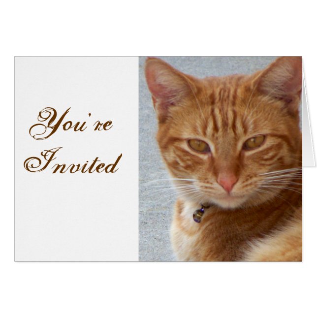 Cartão Lover de Cat_ (Frente Horizontal)