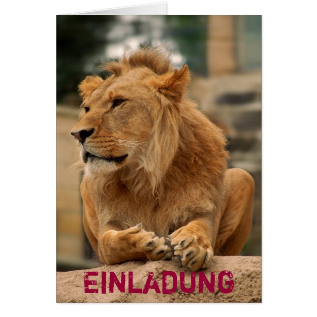 Cartão Löwe mit Punkerfrisur (Frente)